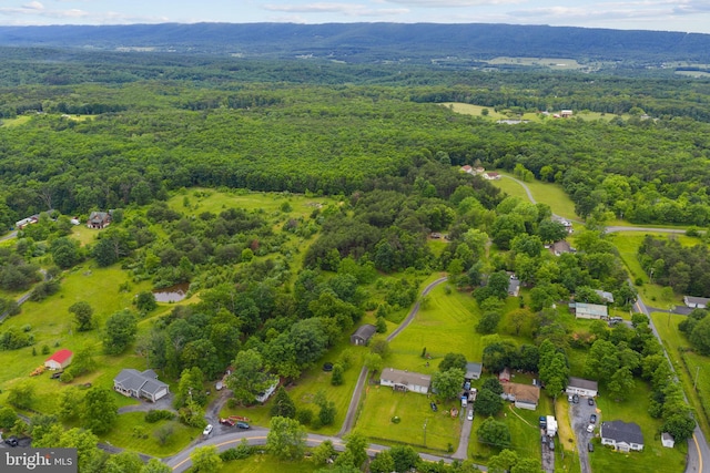 669 Dicks Hollow Rd, Winchester, VA 22603 - aerial view of a forest
