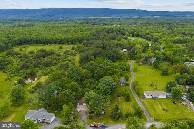 669 Dicks Hollow Rd, Winchester, VA 22603 - bird's eye view of a forest and a mountain backdrop