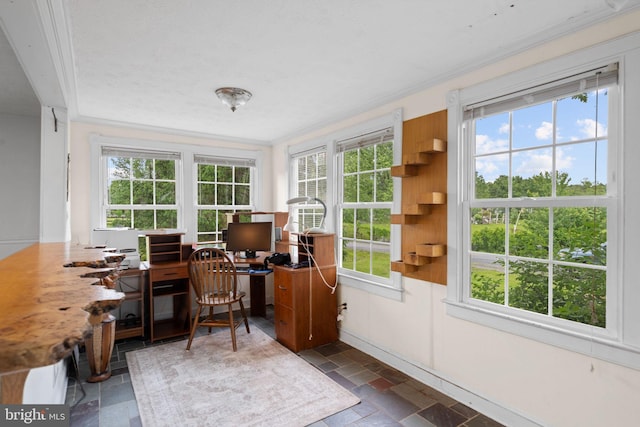 669 Dicks Hollow Rd, Winchester, VA 22603 - office area featuring healthy amount of natural light, stone tile flooring, and ornamental molding