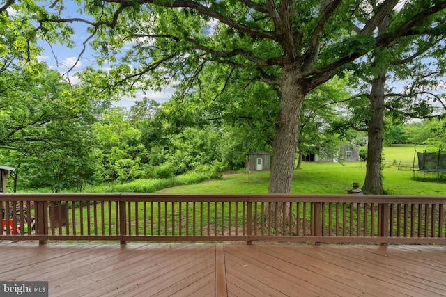 669 Dicks Hollow Rd, Winchester, VA 22603 - wooden deck with a trampoline and a yard