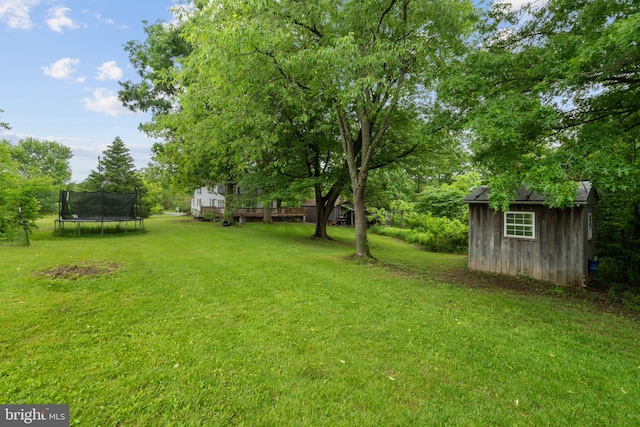 669 Dicks Hollow Rd, Winchester, VA 22603 - view of green lawn featuring a trampoline and a wooden deck