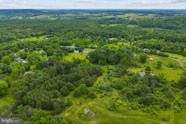 669 Dicks Hollow Rd, Winchester, VA 22603 - bird's eye view of a heavily wooded area
