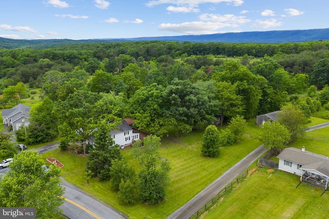 669 Dicks Hollow Rd, Winchester, VA 22603 - bird's eye view of a heavily wooded area