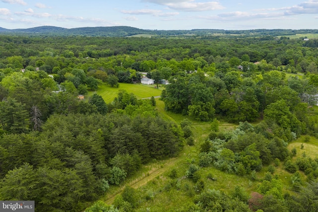 669 Dicks Hollow Rd, Winchester, VA 22603 - bird's eye view of a heavily wooded area and a mountain backdrop