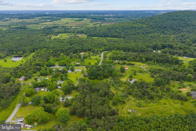 669 Dicks Hollow Rd, Winchester, VA 22603 - drone / aerial view of a forest and a large body of water
