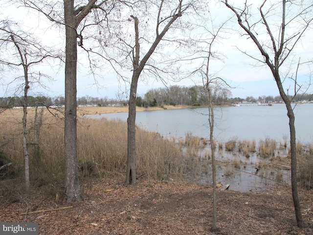 water view