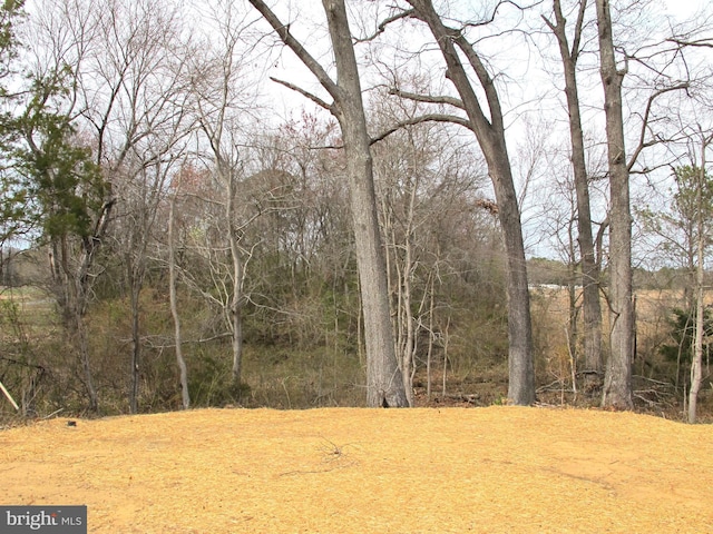 view of nature