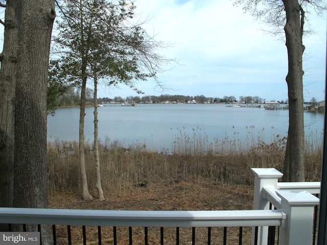 view of water feature