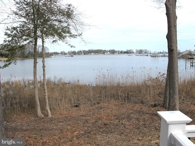 view of water feature