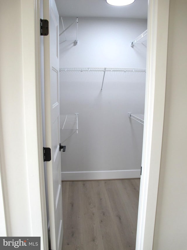 walk in closet featuring wood finished floors