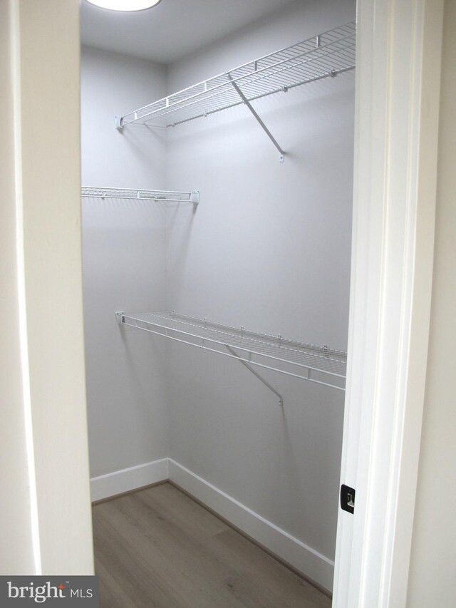 walk in closet featuring wood finished floors