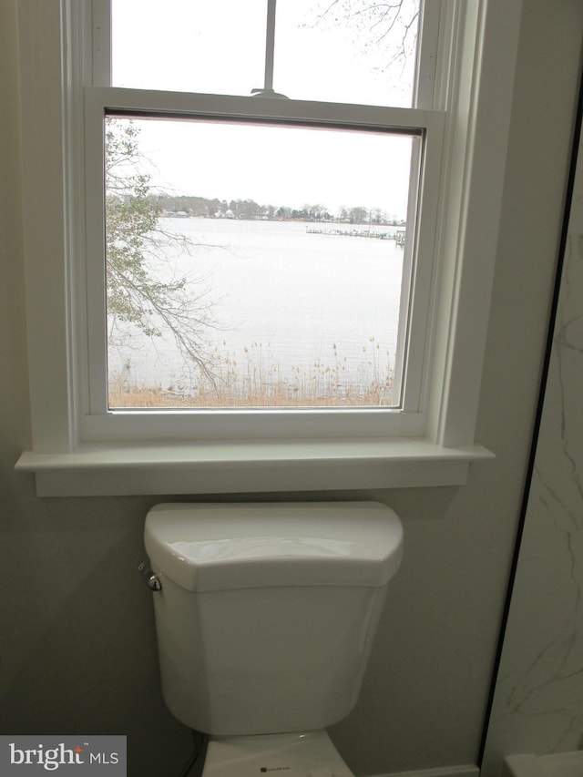 interior details featuring toilet