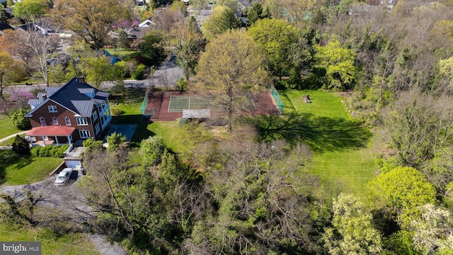 bird's eye view