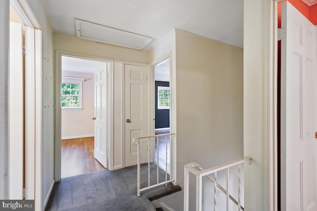 hall featuring baseboards, carpet, a wealth of natural light, and an upstairs landing