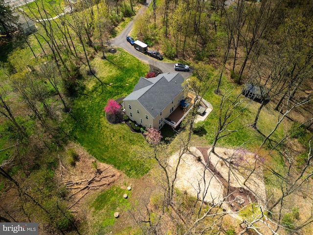 drone / aerial view