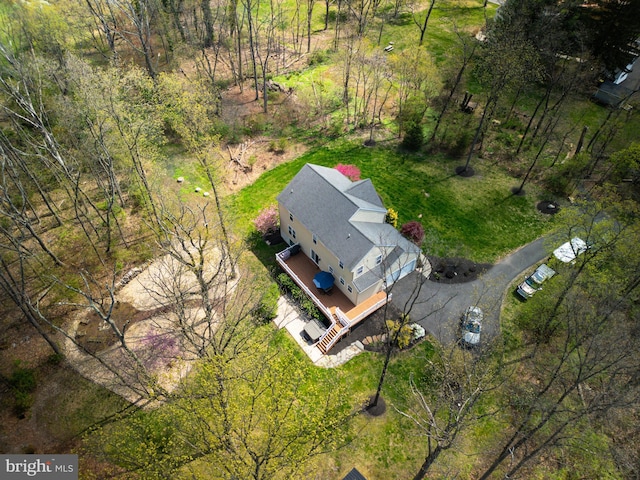 bird's eye view