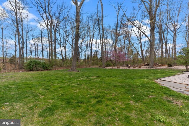 view of yard