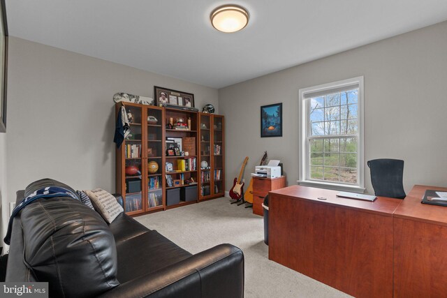 view of carpeted office space