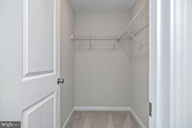 15500 Smoke Box Way, Woodbridge, VA 22191 - spacious closet with light carpet
