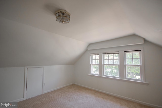 bonus room featuring baseboards, carpet, and vaulted ceiling