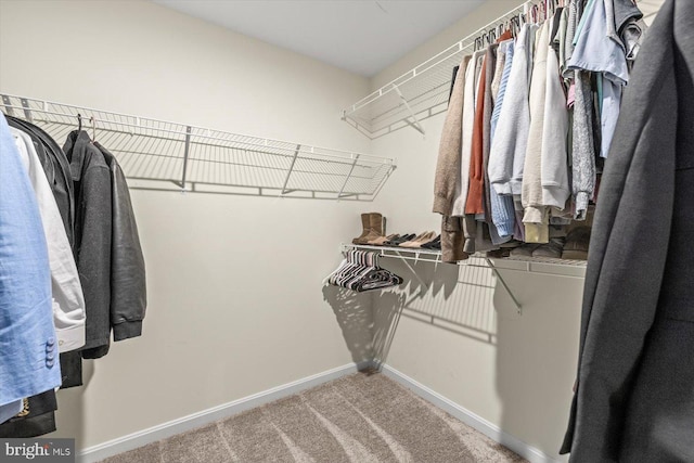 7269 Liberty Ct, Ruther Glen, VA 22546 - walk in closet featuring carpet flooring