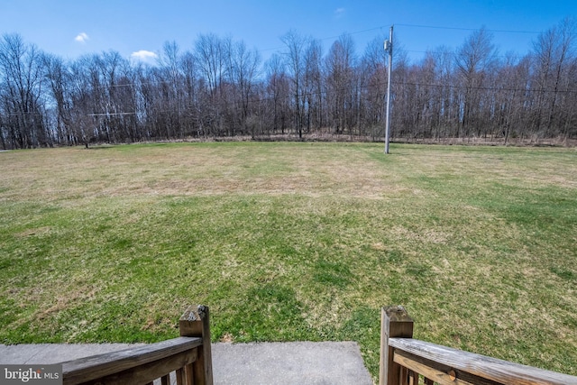 134 Highland Ave, Accident, MD 21520 - view of yard