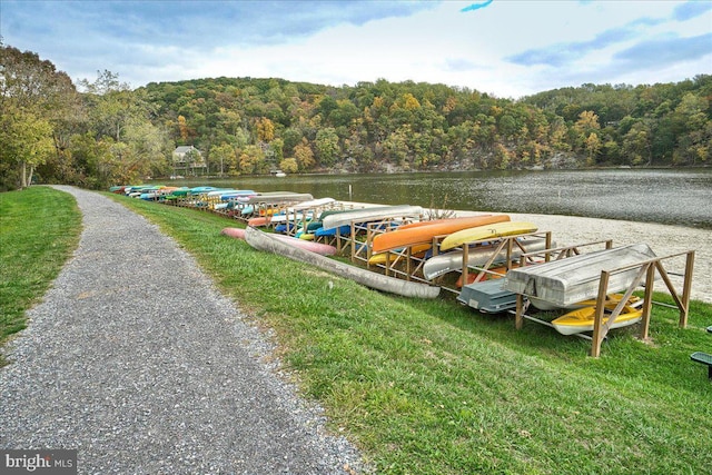 dock area featuring a view of trees and a water view