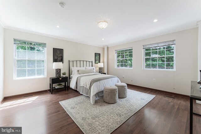 142 N French St, Alexandria, VA 22304 - bedroom with baseboards, dark wood finished floors, and recessed lighting