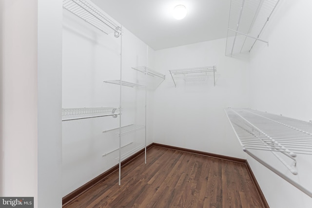 142 N French St, Alexandria, VA 22304 - walk in closet featuring dark wood-style floors