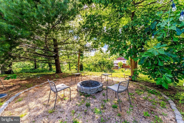 142 N French St, Alexandria, VA 22304 - view of yard with a fire pit