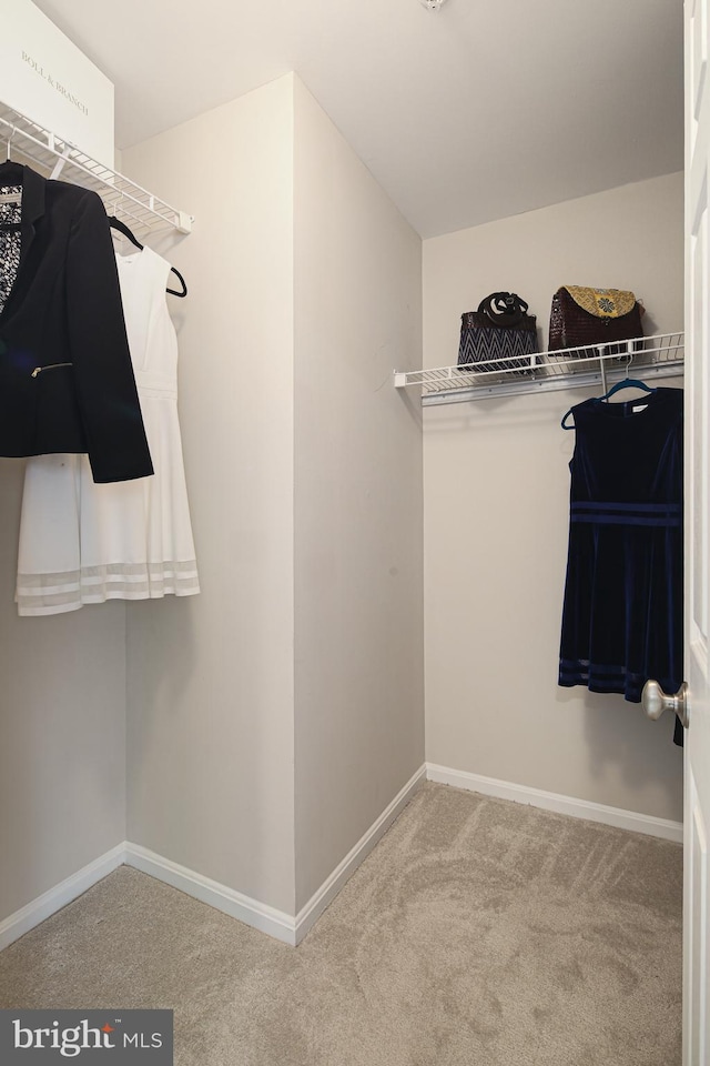 6129 White Marble Ct, Clarksville, MD 21029 - spacious closet featuring carpet flooring