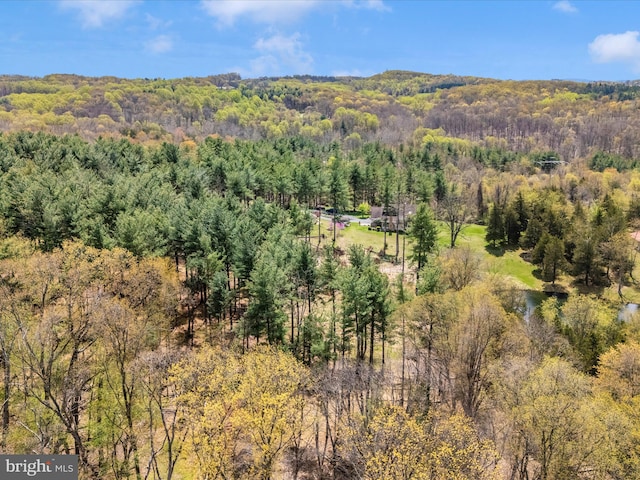 10334 Harp Rd, Walkersville, MD 21793 - mountain view featuring a view of trees