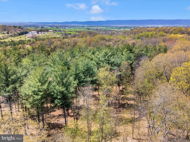 10334 Harp Rd, Walkersville, MD 21793 - birds eye view of property with a forest view and a mountain view