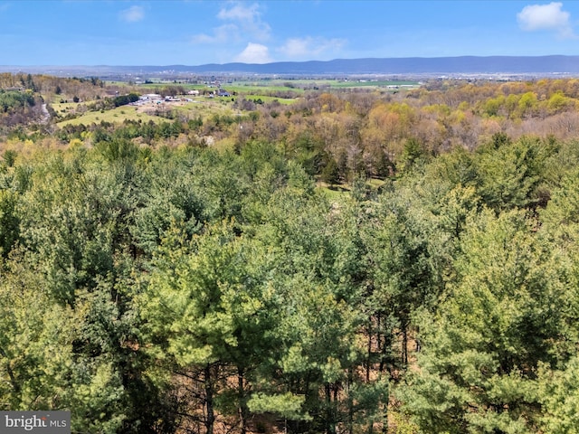 10334 Harp Rd, Walkersville, MD 21793 - drone / aerial view featuring a view of trees