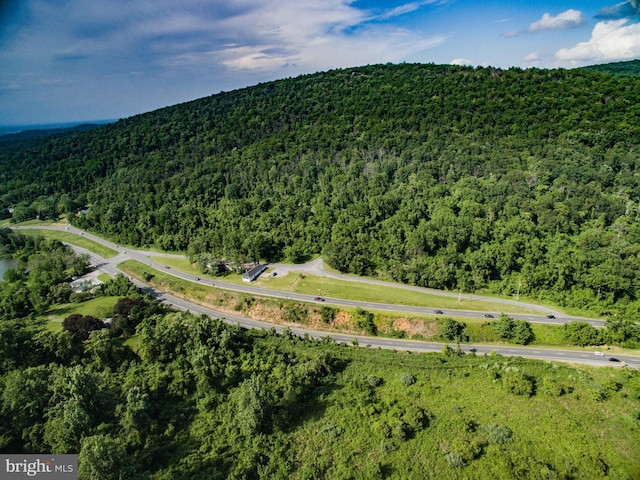22540 Blue Ridge Mountain Rd, Paris, VA 20130 - view of property location featuring a heavily wooded area