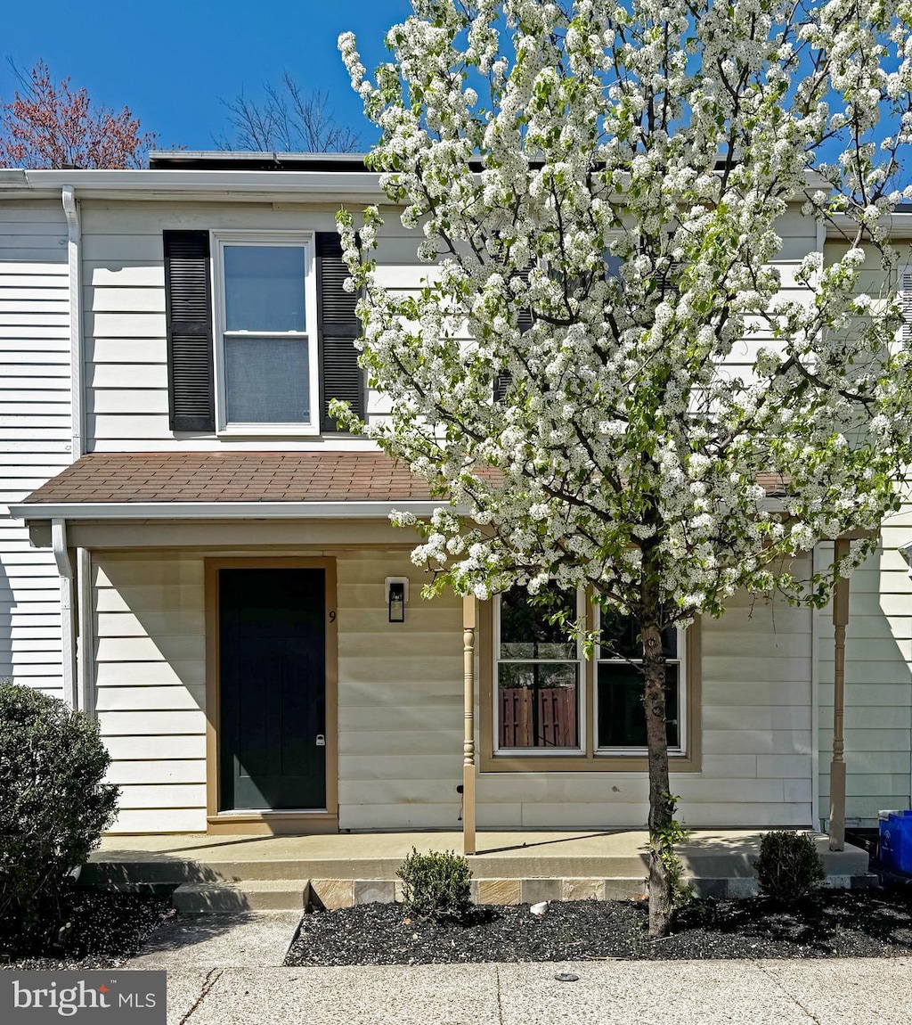 view of front of house featuring covered porch and roof with shingles
