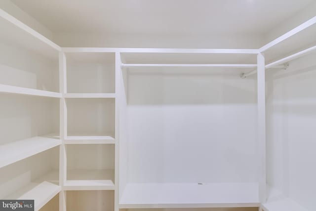 4720 Kimberleigh Rd, Baltimore, MD 21212 - view of spacious closet