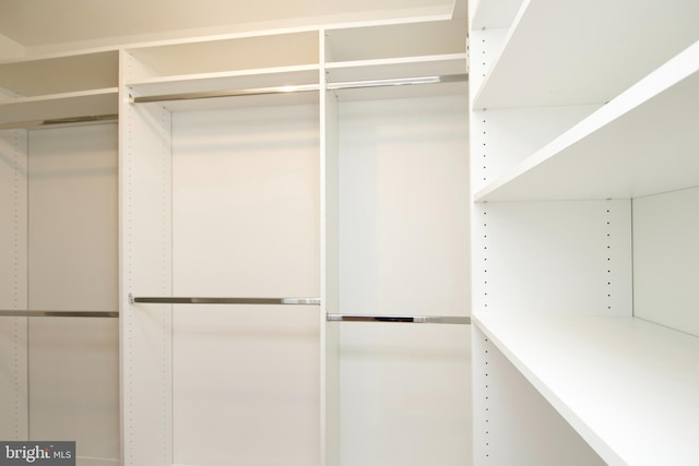 view of walk in closet