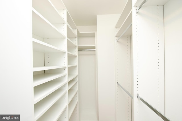 view of walk in closet