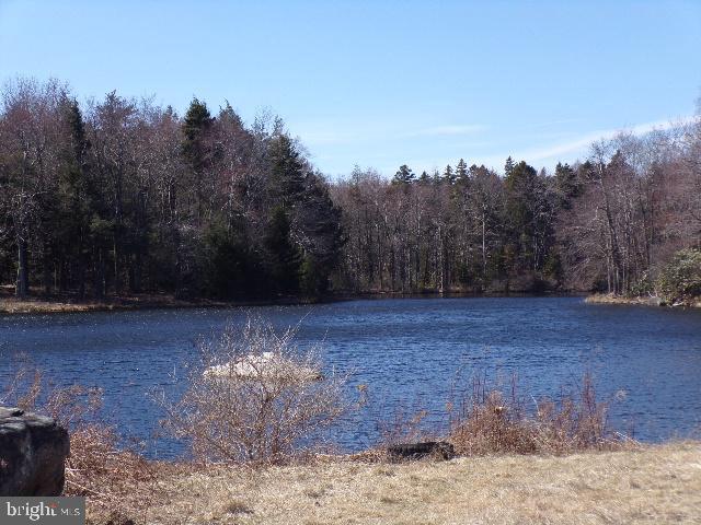 Covington Lakes Dr, Gouldsboro, PA 18424