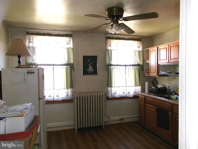 4204 Kenwood Ave, Baltimore, MD 21206 - kitchen featuring a sink, radiator, dark wood-style flooring, ceiling fan, and a healthy amount of sunlight