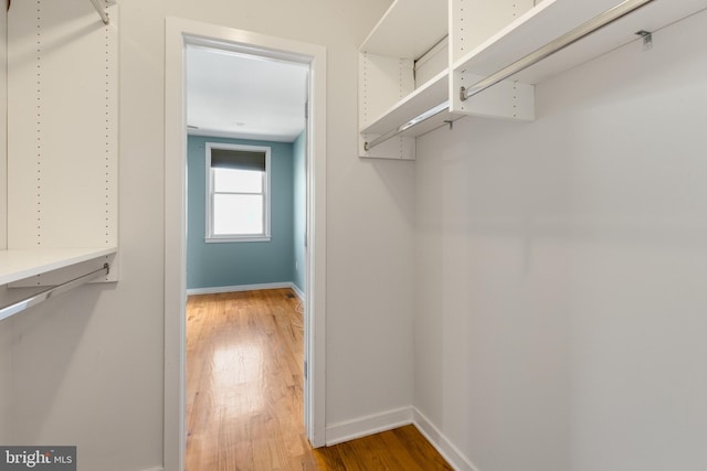 spacious closet featuring light wood-style flooring