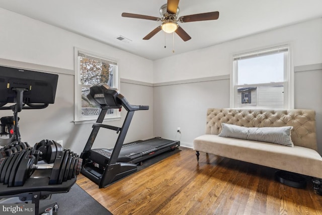 exercise room featuring wood finished floors, a ceiling fan, and visible vents