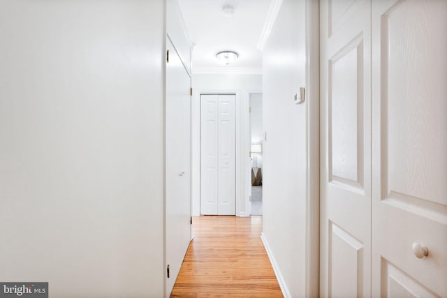 hallway featuring crown molding and light wood-type flooring