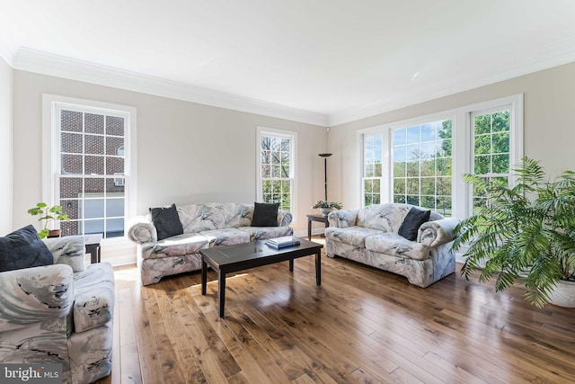 living area featuring wood-type flooring and crown molding