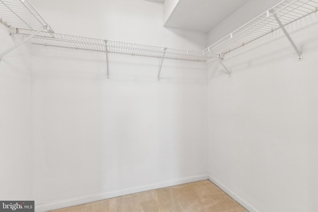 spacious closet with light carpet