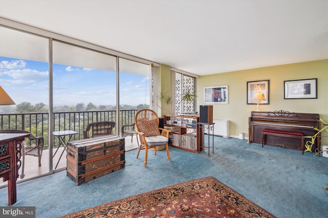3333 University Blvd W Unit 1102, Kensington, MD 20895 - living area with carpet, healthy amount of natural light, and floor to ceiling windows