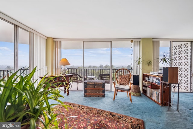 3333 University Blvd W Unit 1102, Kensington, MD 20895 - sunroom featuring healthy amount of natural light
