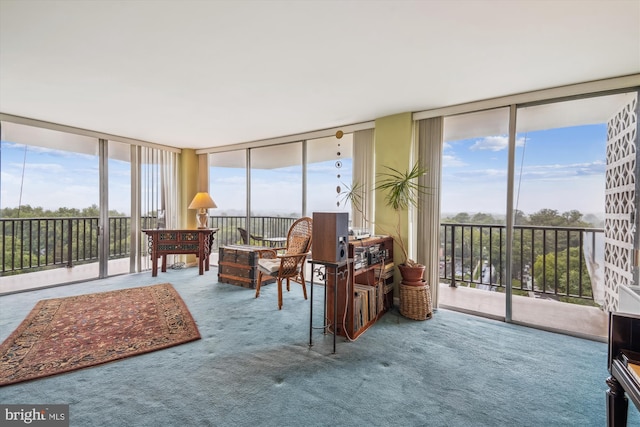 3333 University Blvd W Unit 1102, Kensington, MD 20895 - sunroom with plenty of natural light