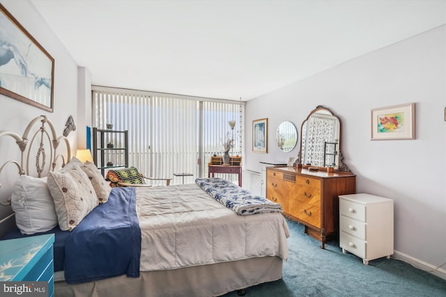 3333 University Blvd W Unit 1102, Kensington, MD 20895 - bedroom with carpet flooring, access to exterior, and baseboards